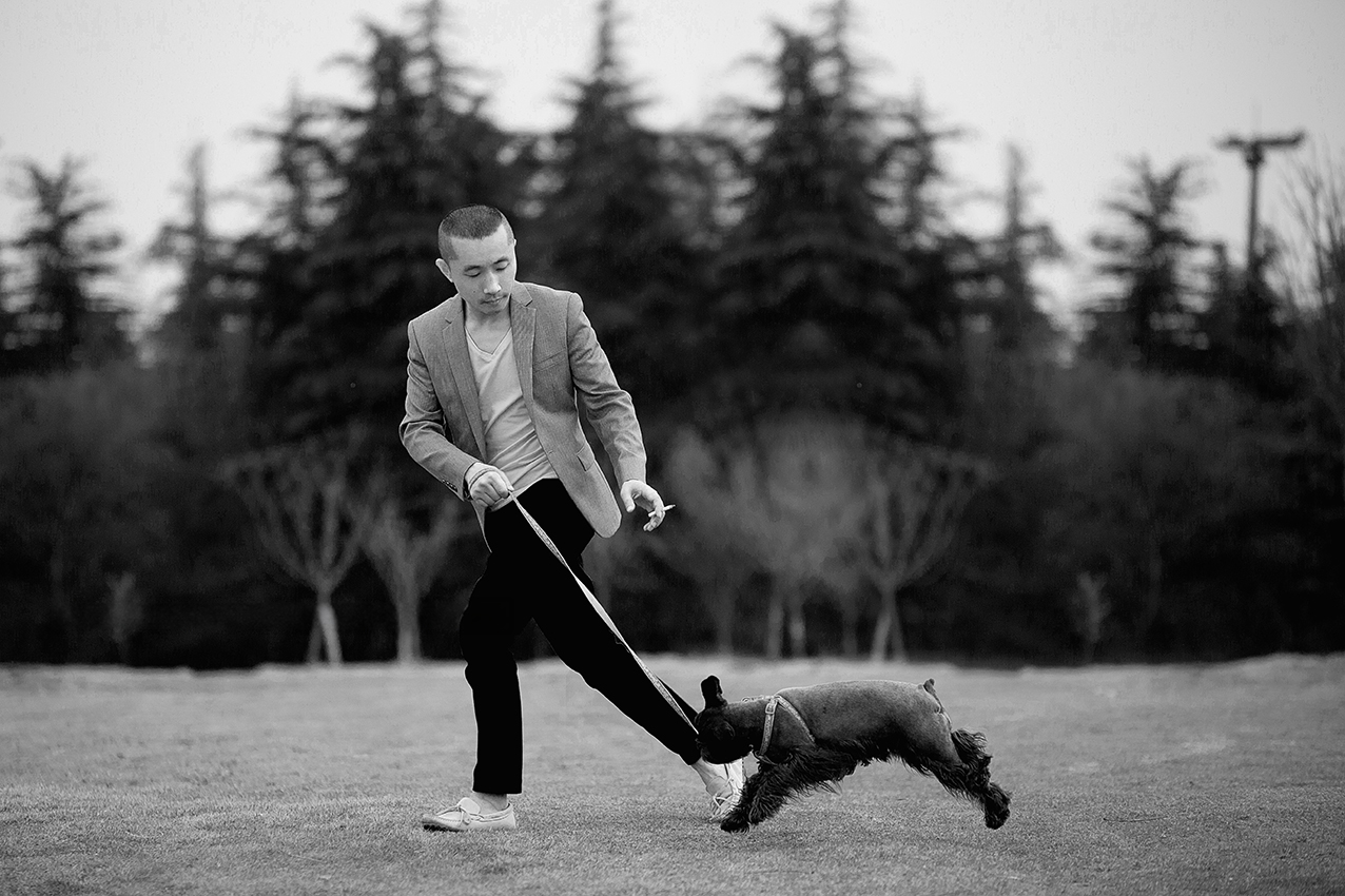 Pet portrait editorial materials and printed keepsakes.